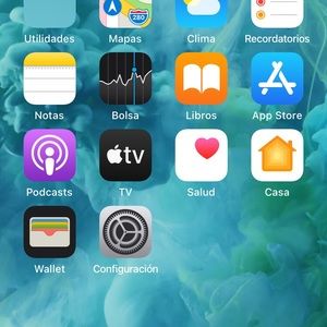 Meet your Posher, Benny